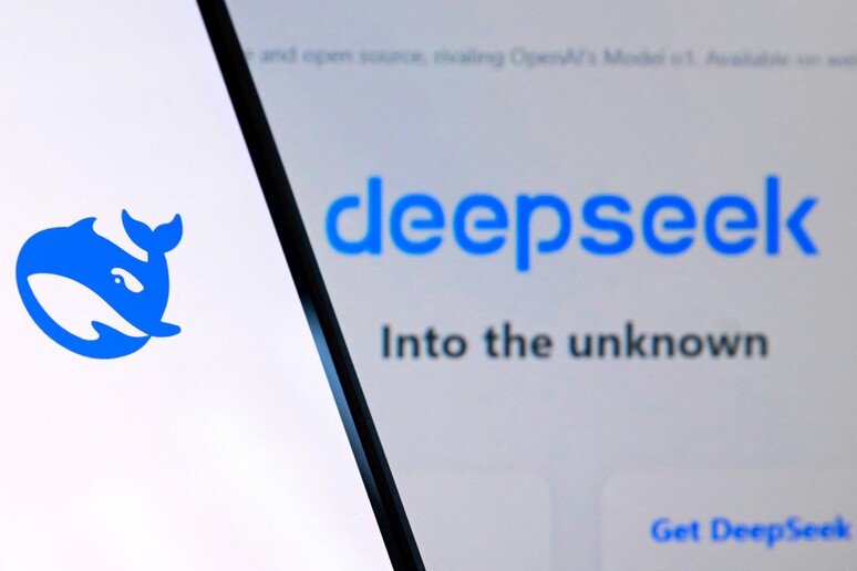 DeepSeek © ANSA/AFP