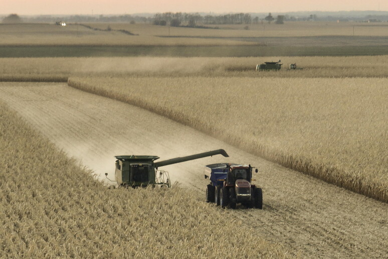 - RIPRODUZIONE RISERVATA