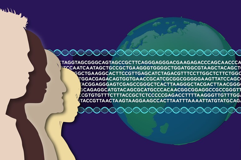 Rappresentazione artistica di sequenze genetiche umane (fonte: Ernesto del Aguila III, NHGRI da Flickr PDM 1.0) - RIPRODUZIONE RISERVATA