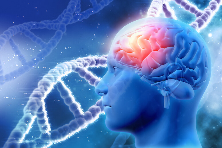 Alzheimer (fonte: Freepik), neurologia, idrocefalo normoteso - RIPRODUZIONE RISERVATA