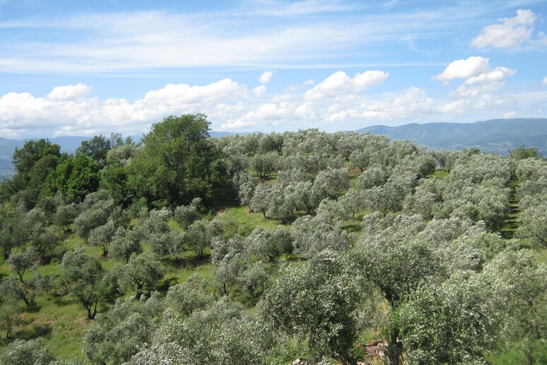 - RIPRODUZIONE RISERVATA