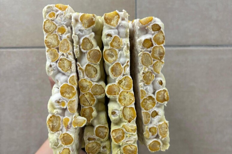 - RIPRODUZIONE RISERVATA