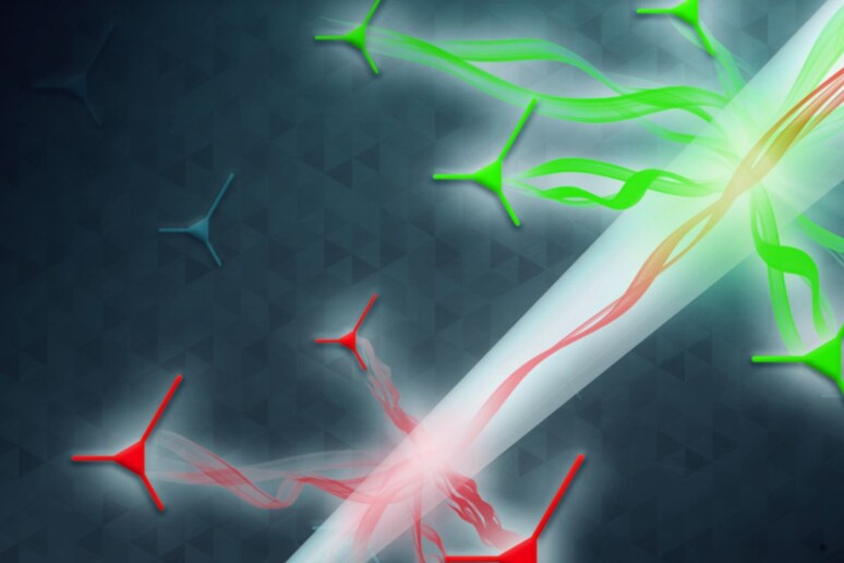 Rappresentazione grafica della sonda di luce utilizzata per esplorare le aree più profonde del cervello in modo non invasivo (fonte: IIT - Lecce) - RIPRODUZIONE RISERVATA