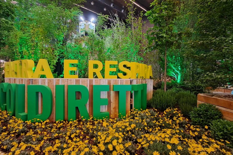 - RIPRODUZIONE RISERVATA