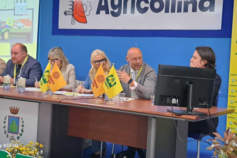 - RIPRODUZIONE RISERVATA