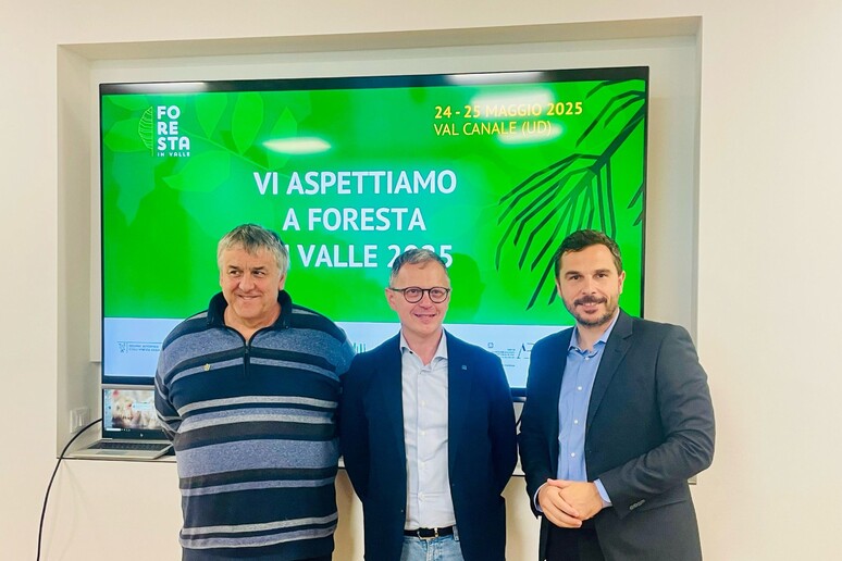 - RIPRODUZIONE RISERVATA