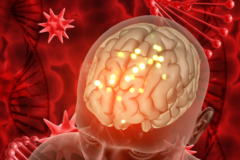 Alcune molecole che si attivano in caso di malattia&nbsp;agiscono anche a livello del cervello (fonte: freepik) - RIPRODUZIONE RISERVATA
