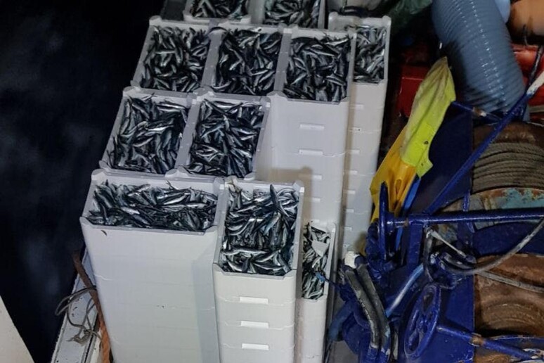 - RIPRODUZIONE RISERVATA