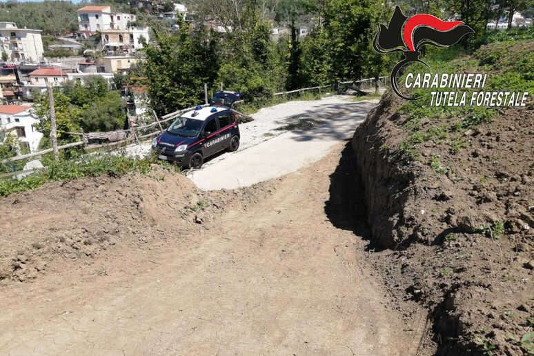 - RIPRODUZIONE RISERVATA