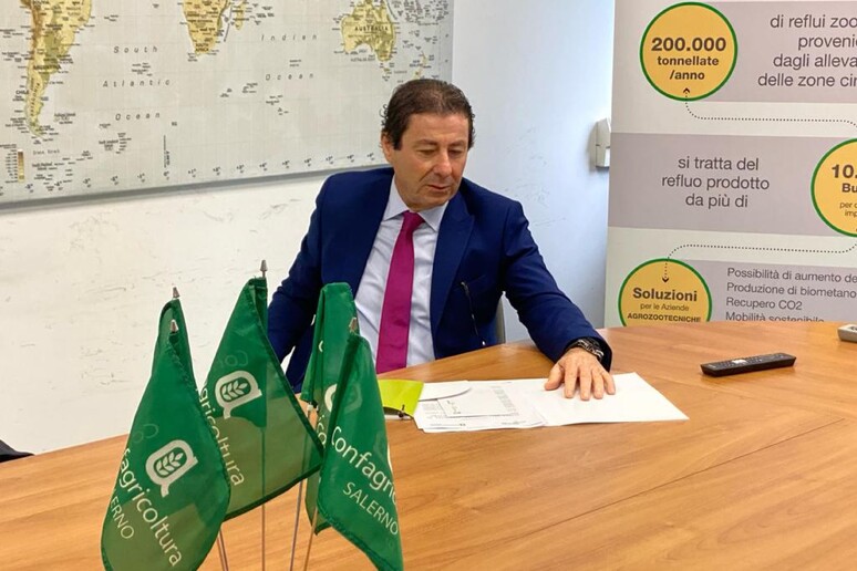 - RIPRODUZIONE RISERVATA