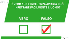 E' vero che l'influenza aviaria puo' infettare facilmente l'uomo?