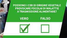 Possono i cibi di origine vegetale provocare focolai di malattie a trasmissione alimentare?